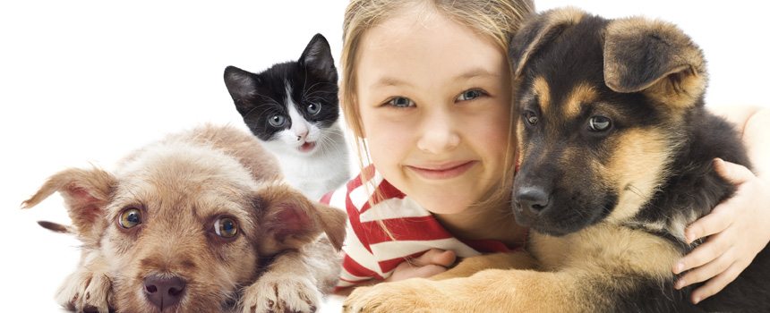 Safe Haven Pet Adoption
