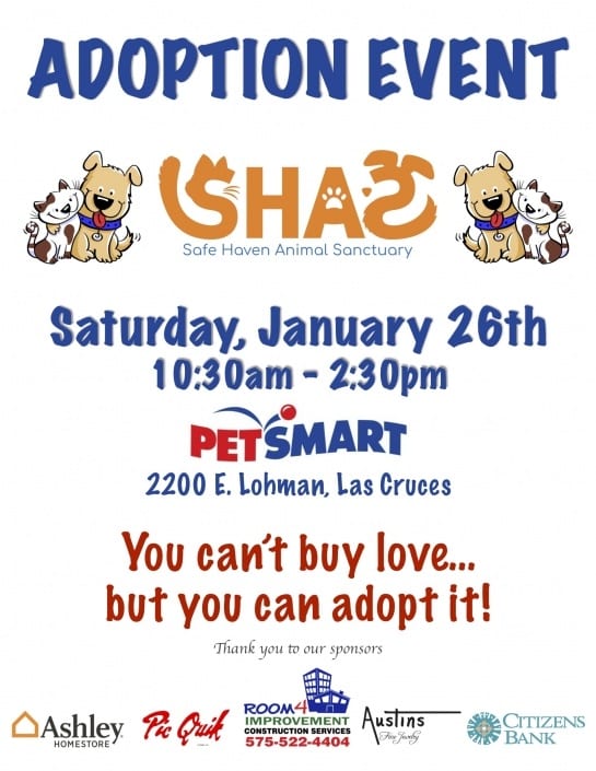 petsmart charity stuffed animals 2019