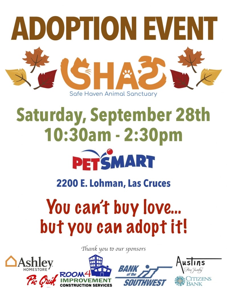 PetSmart Adoption Event Safe Haven Animal Sanctuary